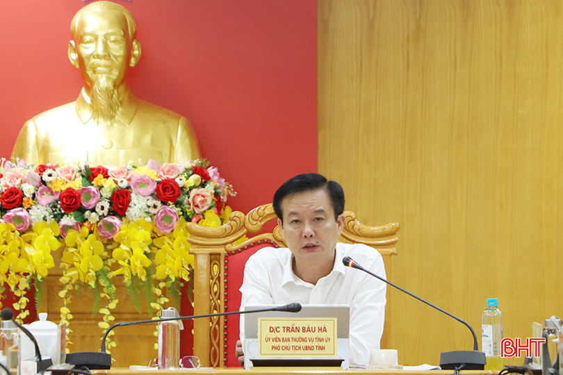 Phó Chủ tịch UBND tỉnh Trần Báu Hà phát biểu tại buổi làm việc. a3.jpg
