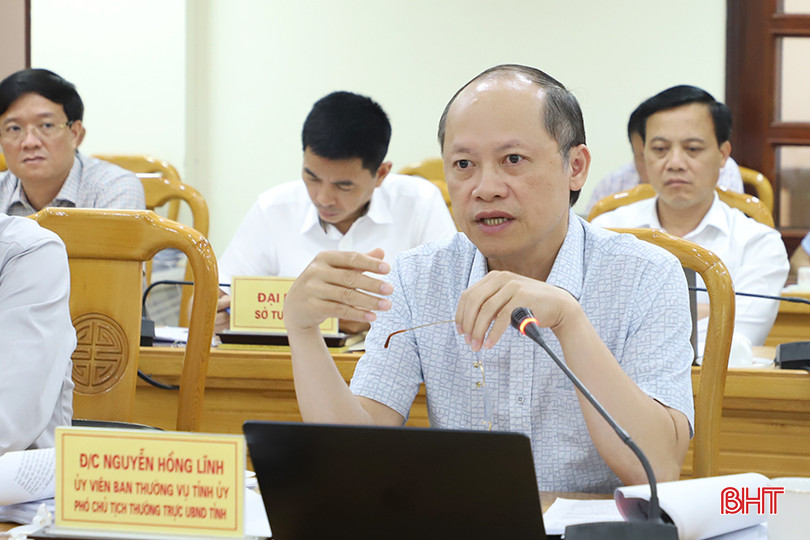 Phó Chủ tịch Thường trực UBND tỉnh Nguyễn Hồng Lĩnh phát biểu tại buổi làm việc. 1.jpg
