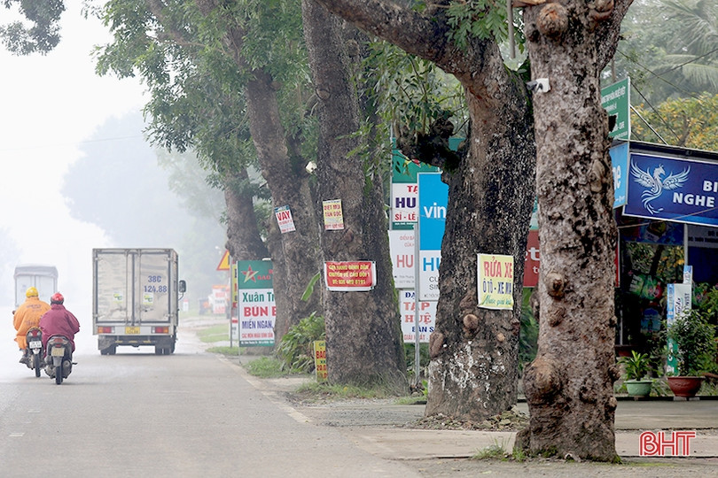 Hàng cây cổ thụ ở Đức Thọ bị đóng đinh, đẽo vỏ nham nhở