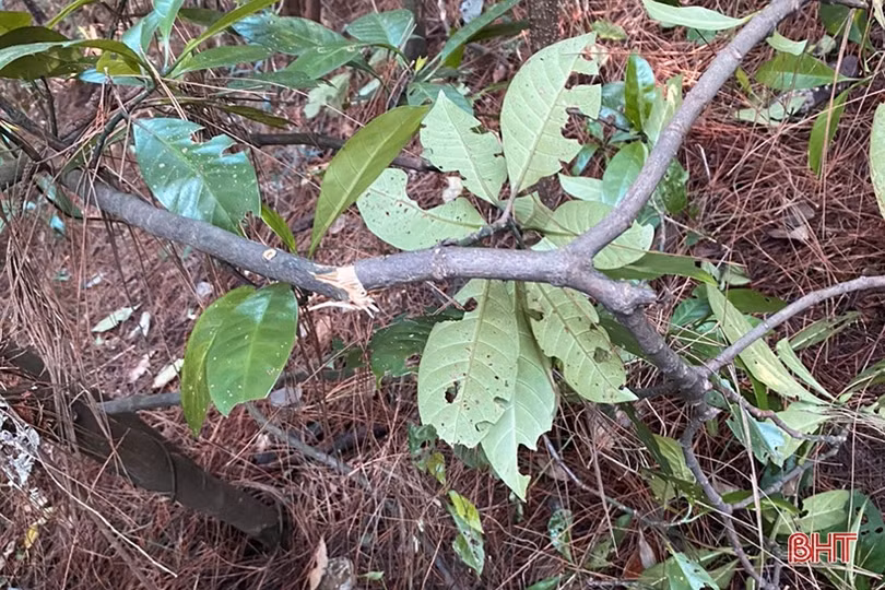 Hành trình lần theo dấu vết, bắt gọn 2 phạm nhân sau 58 giờ trốn trại