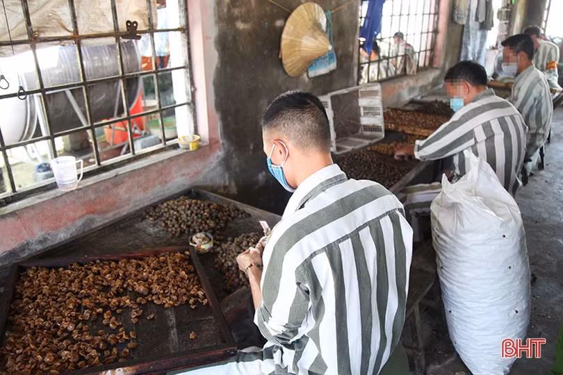 Hành trình lần theo dấu vết, bắt gọn 2 phạm nhân sau 58 giờ trốn trại