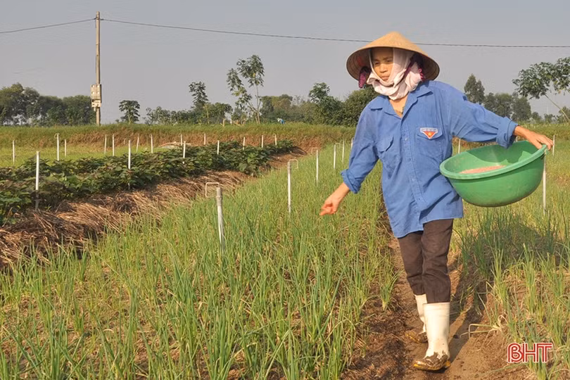 Các địa phương ở Hà Tĩnh đẩy nhanh tiến độ sản xuất vụ đông