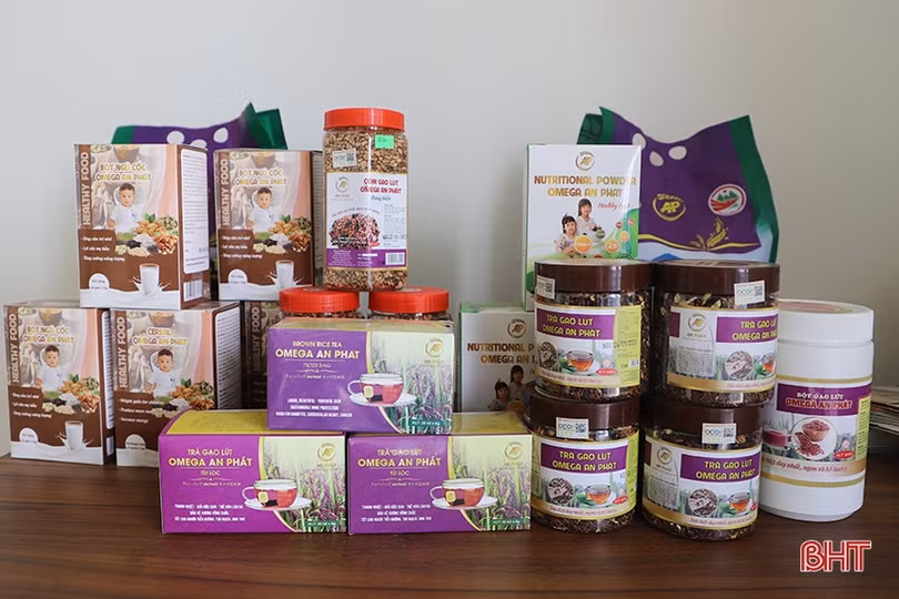 Lực đẩy phát triển công nghiệp nông thôn Hà Tĩnh