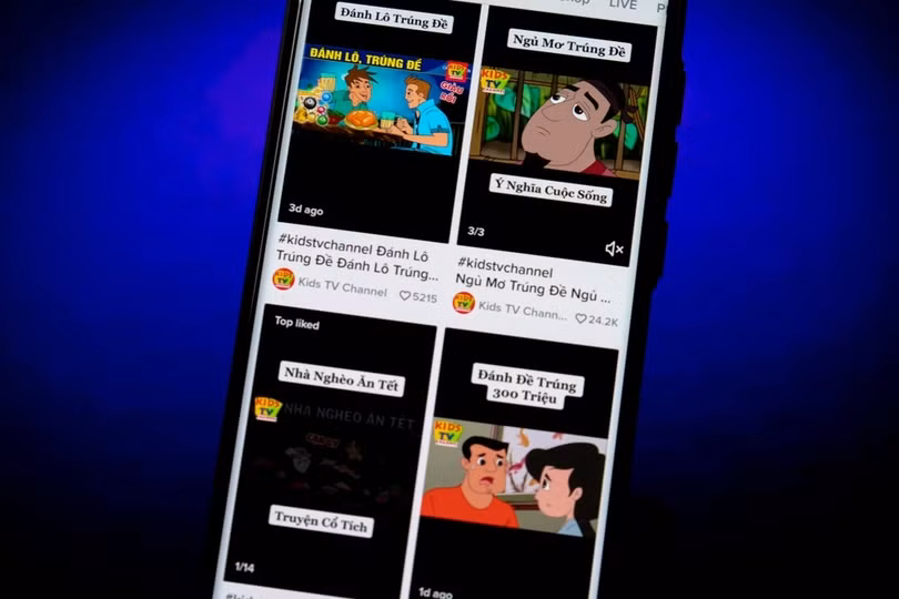 TikTok từ chối tuân thủ kết luận kiểm tra của Việt Nam