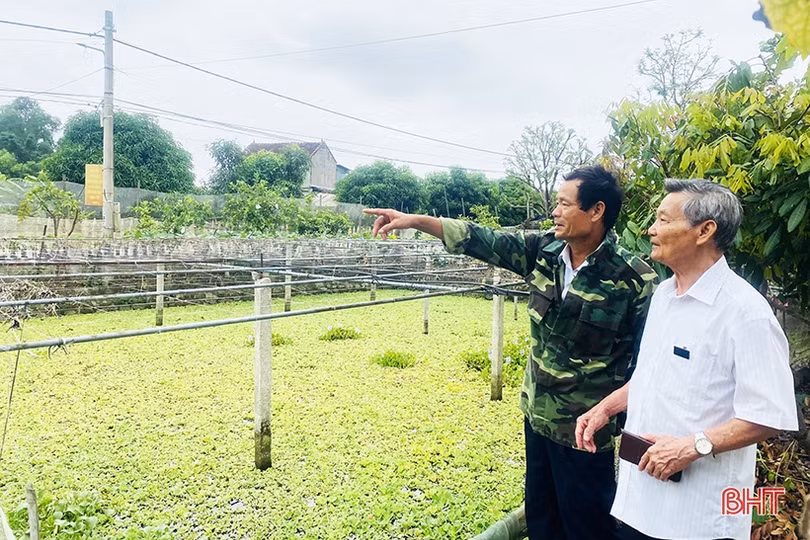 Vườn mẫu nông thôn mới - đừng dừng lại ở mô hình!