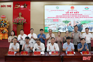 Tiếp tục duy trì liên kết sản xuất nông nghiệp tuần hoàn, hữu cơ Quế Lâm