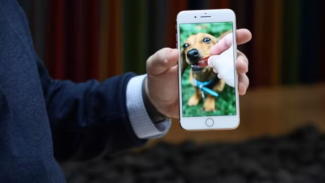 iPhone 9 sẽ ra mắt vào ngày 31/3