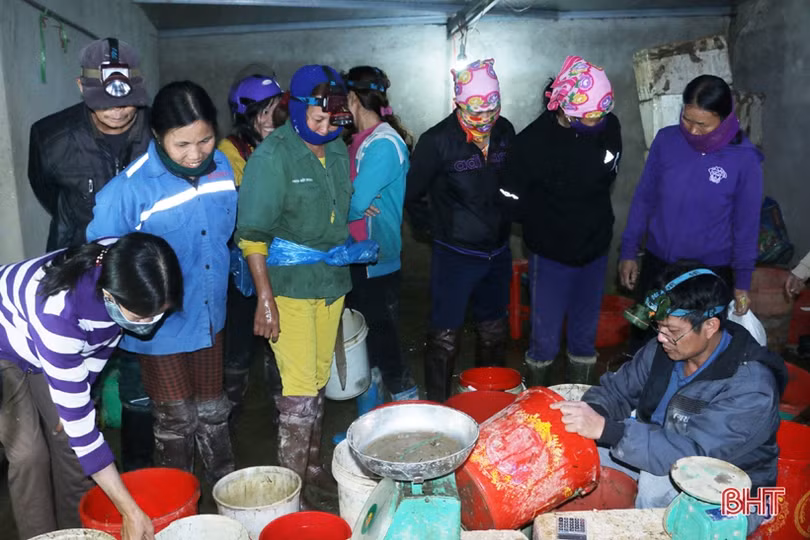 Trắng đêm “săn” cua đồng