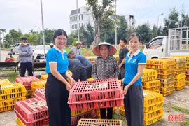 Trao mô hình sinh kế cho 24 hộ có hoàn cảnh khó khăn ở Lộc Hà