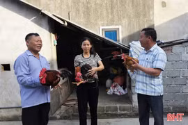 Giúp người nghèo ở Đông Kinh cải thiện cuộc sống
