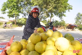 Độc đáo phiên chợ “đệ nhất danh quả” ở Hà Tĩnh