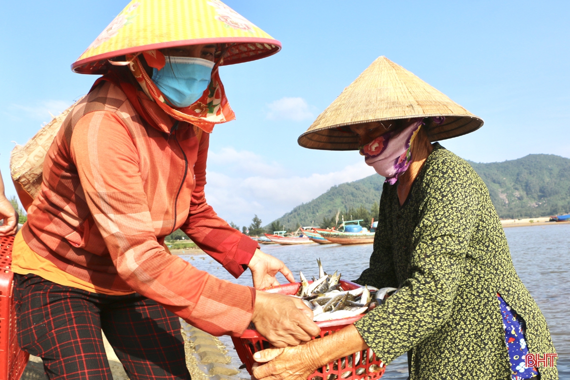 Mùa biển động, ngư dân Cẩm Xuyên vẫn “trúng” nhiều hải sản giá trị