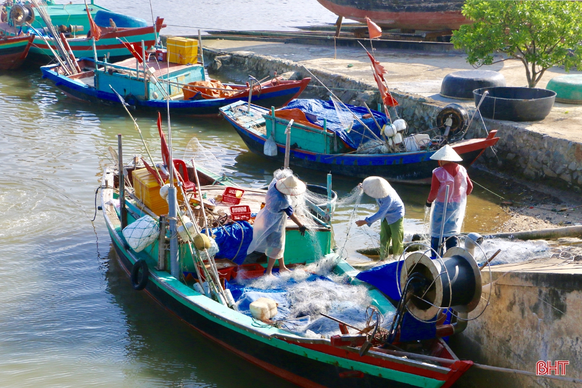 Mùa biển động, ngư dân Cẩm Xuyên vẫn “trúng” nhiều hải sản giá trị