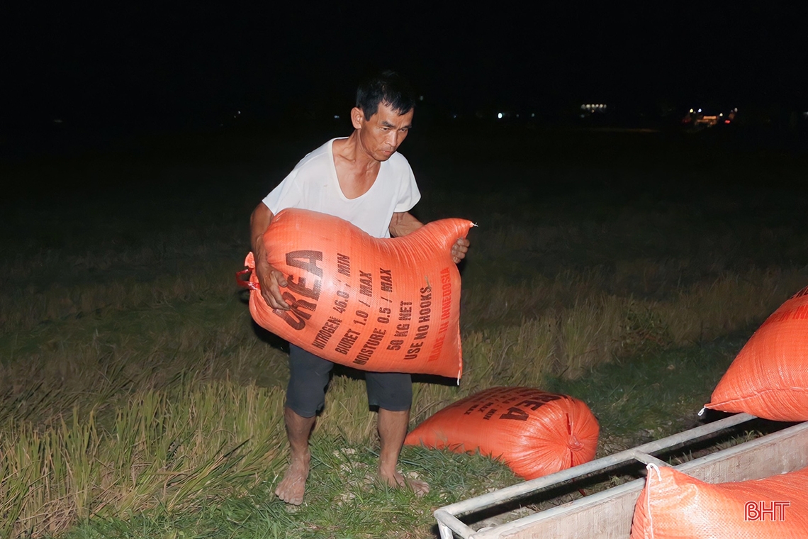 Đêm rộn ràng trên những cánh đồng mùa gặt ở Hà Tĩnh