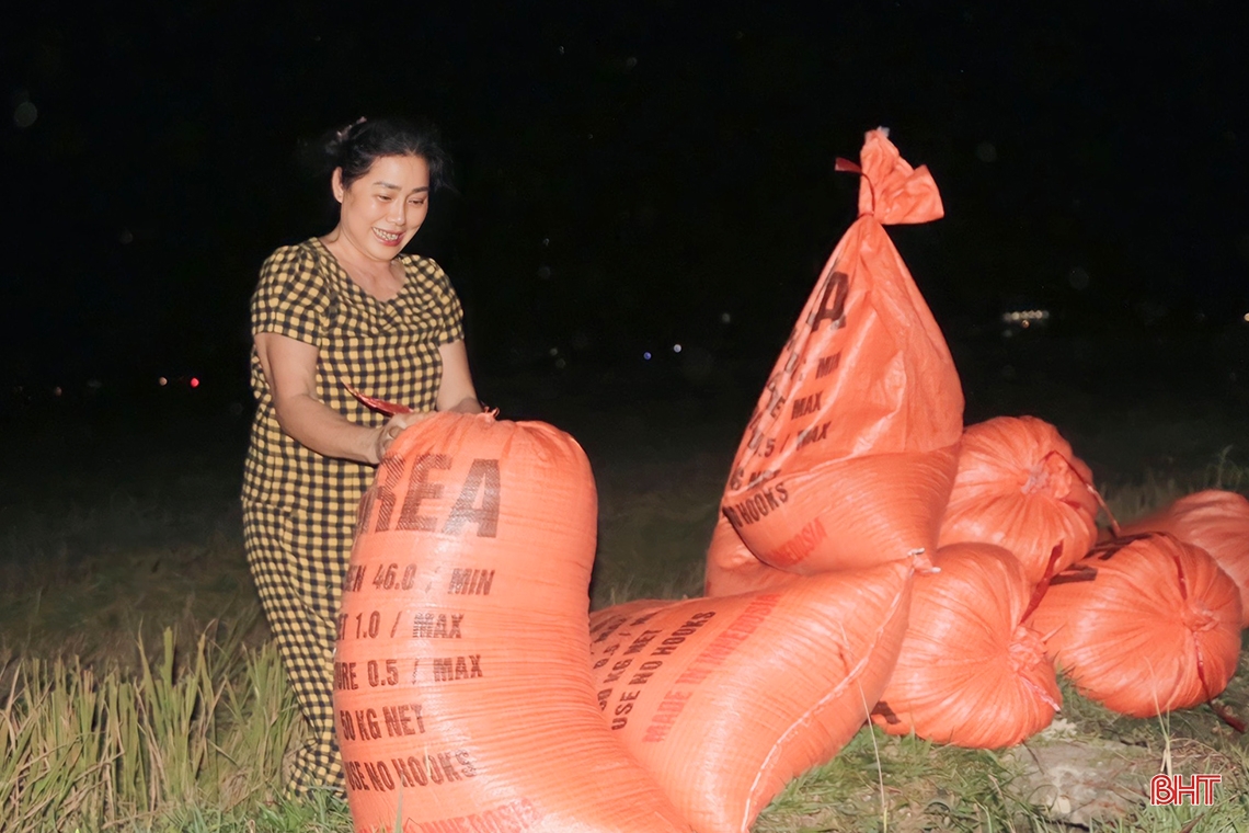 Đêm rộn ràng trên những cánh đồng mùa gặt ở Hà Tĩnh