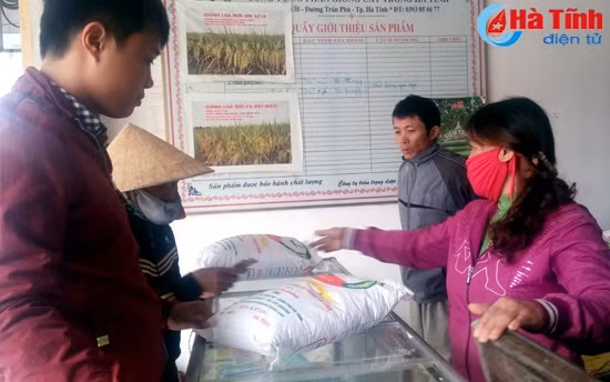 Siết chặt quản lý giống, vật tư phân bón trên địa bàn Hà Tĩnh ảnh 1