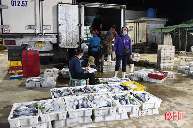 Về Hà Tĩnh đừng quên ghé chợ cá Cồn Gò!