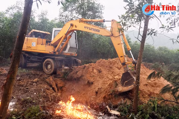 huong khe tieu huy 56 con lon bi lo mom long mong