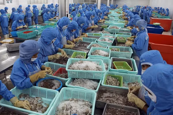 trung quoc co the thanh thi truong lon thu 2 ve xuat khau tom cua viet nam