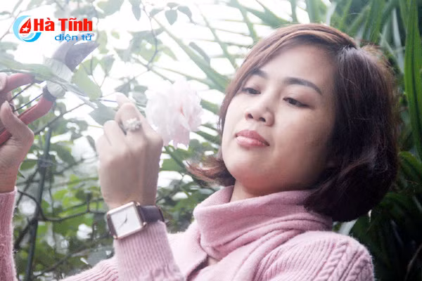 lac loi trong vuon hong dep tua chau au cua co giao ha tinh