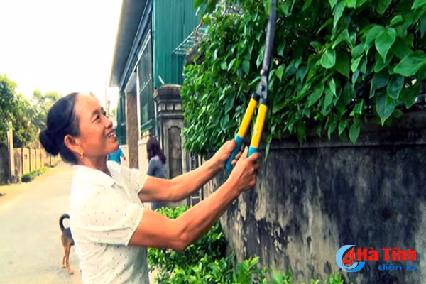 nu truong thon tam huyet noi di doi voi lam