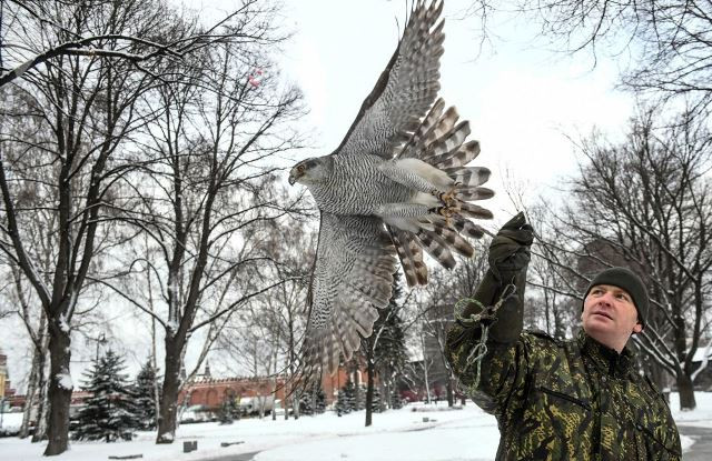 doi ngu long vu tinh nhue bao ve dien kremlin