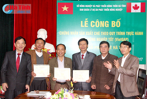 che ha tinh dat san luong che bup tuoi cao nhat tu truoc den nay