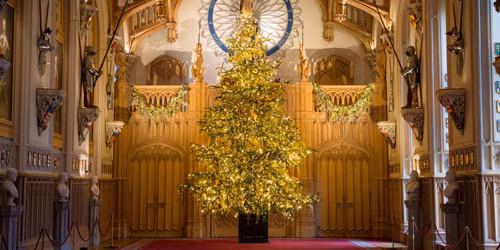 vi sao giang sinh phai co cay thong