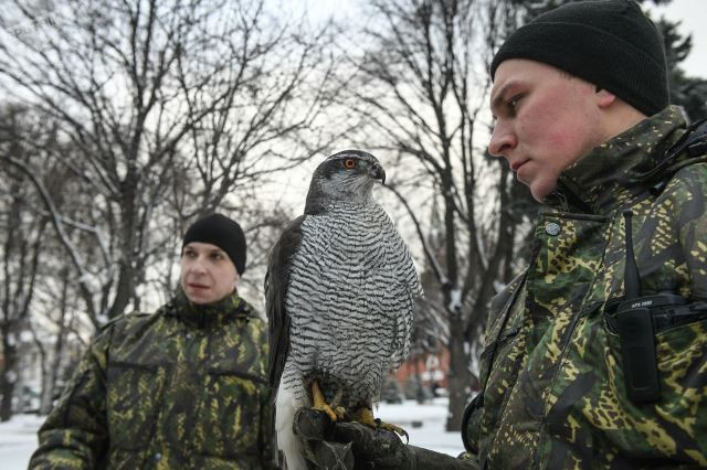 doi ngu long vu tinh nhue bao ve dien kremlin