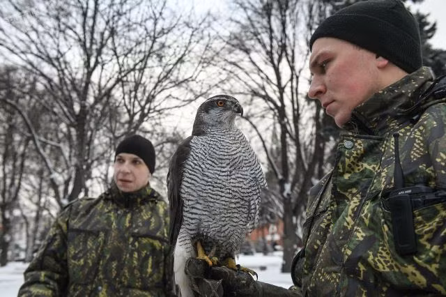 doi ngu long vu tinh nhue bao ve dien kremlin