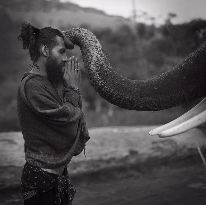 loat anh dep me hon cua cac nhiep anh gia tren khap the gioi