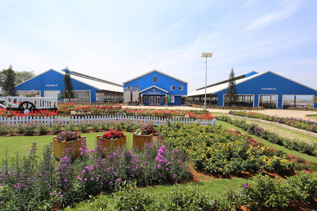 vinamilk dong hanh cung su phat trien cua thu do ha noi