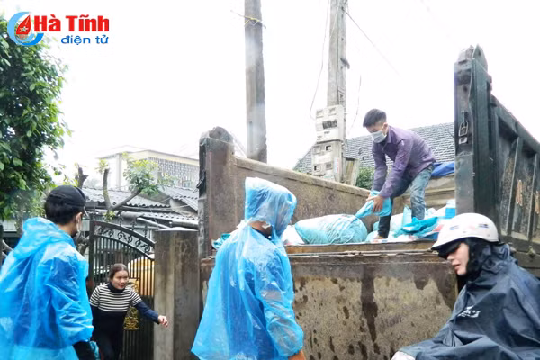 loc ha tieu huy hon 362 tan sua da che bien sau su co moi truong