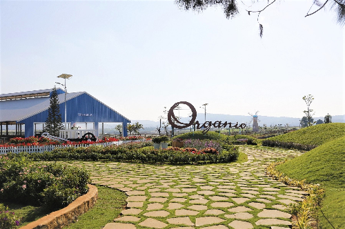 vinamilk 6 nam lien tiep dat cong ty kinh doanh hieu qua