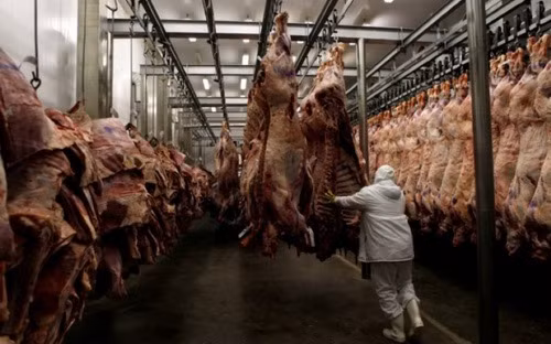 chau a soc voi be boi thit ban brazil