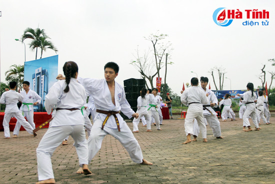 dap xe vi moi truong huong ung gio trai dat 2017