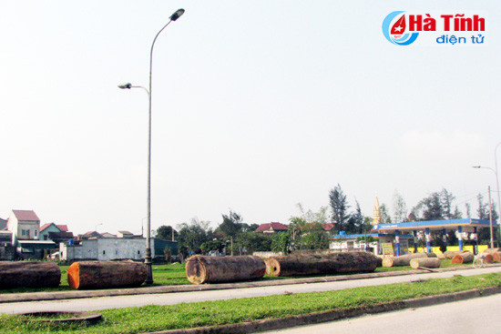 nhech nhac tuyen duong nam cau cay thach dong