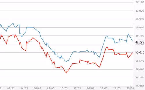 gia vang trong nuoc giam theo gia usd tu do