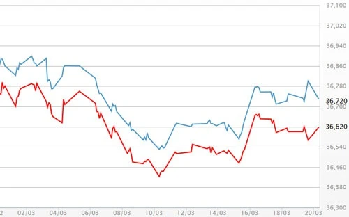 gia vang trong nuoc giam theo gia usd tu do