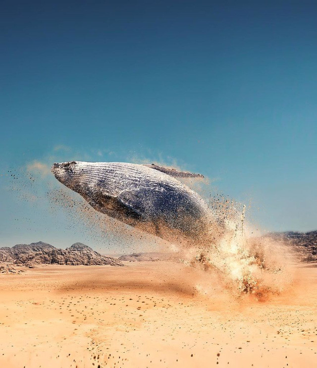 nhung khoanh khac sieu thuc tuong chung chi thay o trong mo