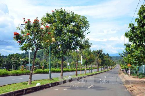 cay xanh do thi viet nam chi bang 1 10 the gioi