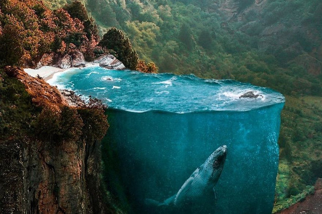 nhung khoanh khac sieu thuc tuong chung chi thay o trong mo