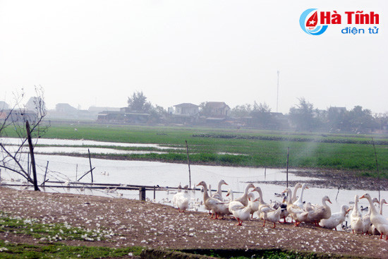 nhech nhac tuyen duong nam cau cay thach dong