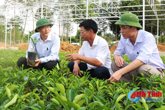 nhieu khu dan cu kieu mau ha tinh san sang don dai bieu hoi nghi ntm toan quoc den tham quan