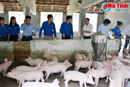 ra mat mo hinh kinh te thanh nien thu nhap 500 trieu dong nam