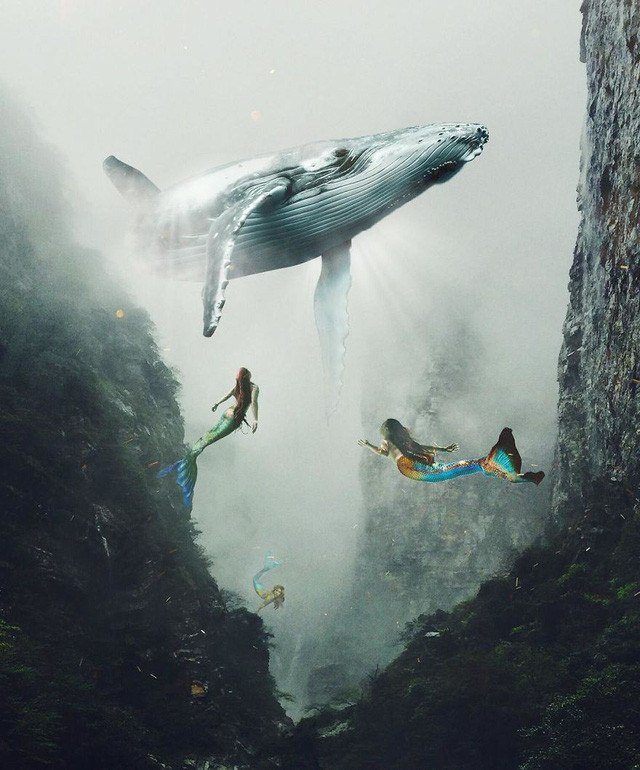 nhung khoanh khac sieu thuc tuong chung chi thay o trong mo