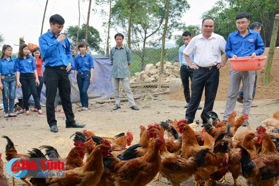 ra mat mo hinh kinh te thanh nien thu nhap 500 trieu dong nam