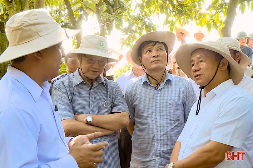 Hà Tĩnh trao đổi kinh nghiệm phát triển kinh tế, sắp xếp tổ chức bộ máy tại An Giang, Kiên Giang