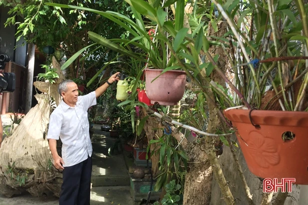 Lớp trẻ ngày nay cứ noi gương ông Nhật mà làm