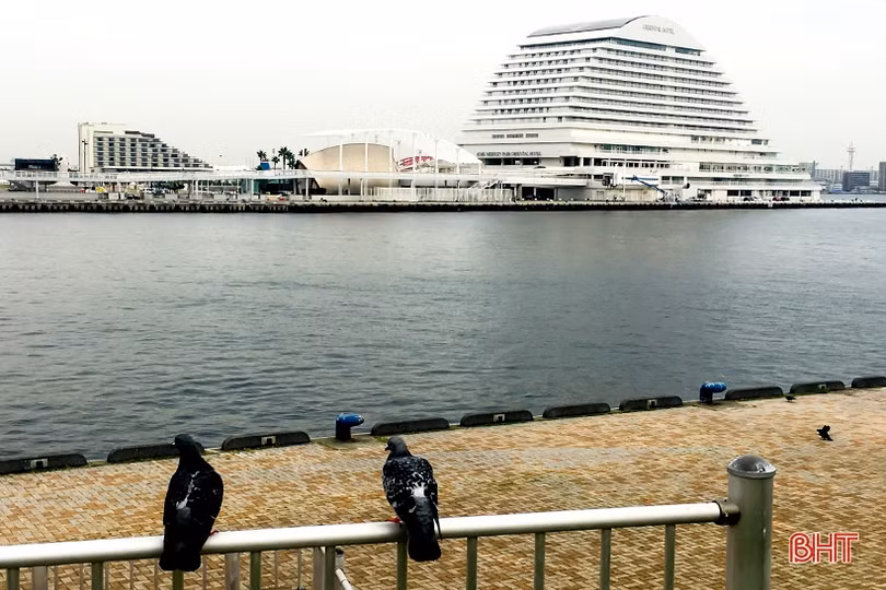 Người dân Nhật Bản ứng xử với môi trường (bài 1): Đưa rác vào nhà - câu chuyện ý thức